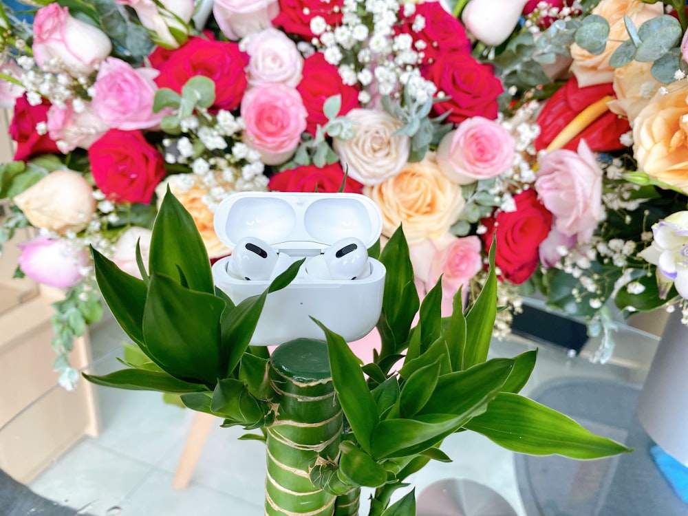 white and red roses in clear glass vase