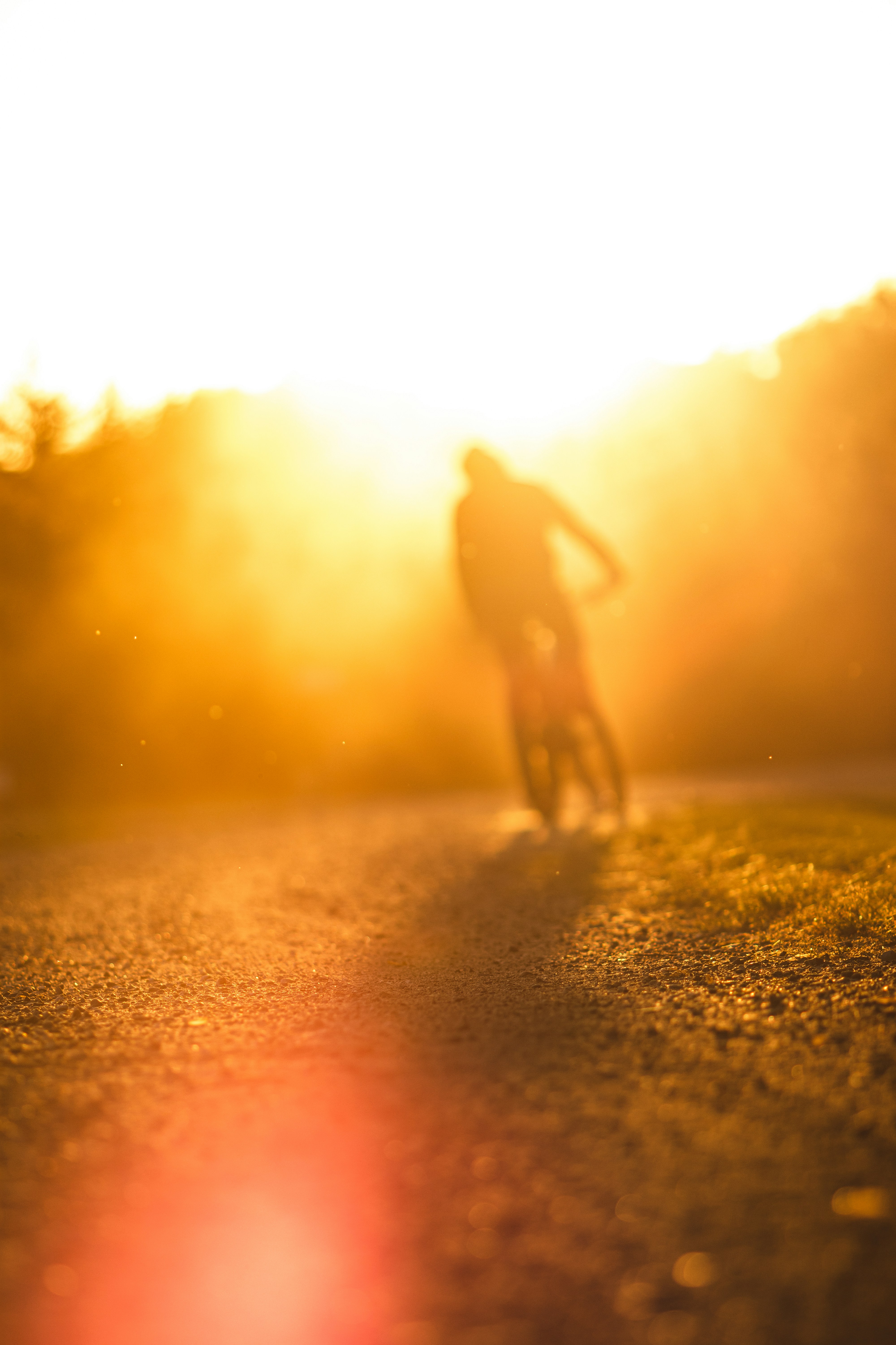 Photo by cole_wyland_24