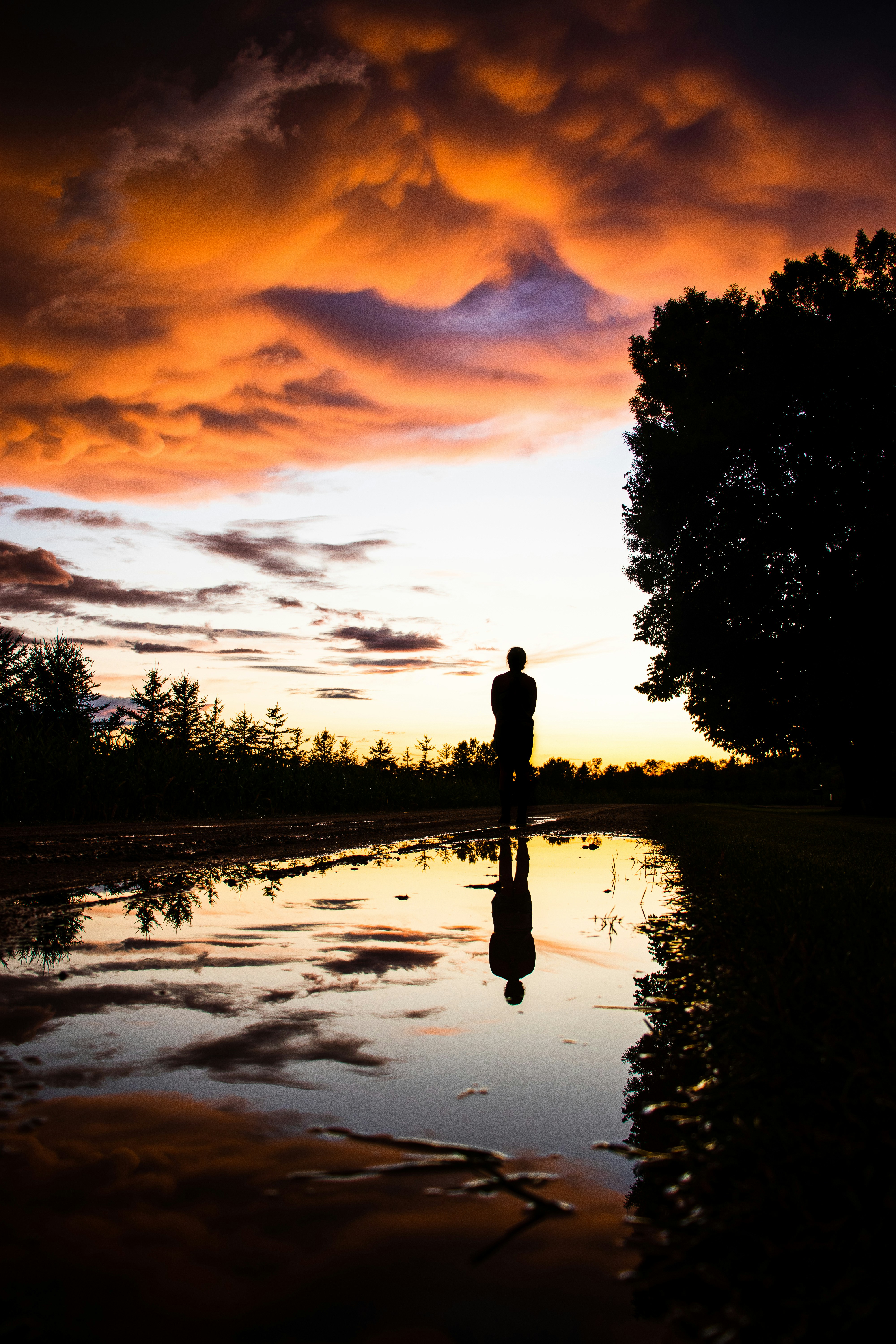 silhouette of man standing on lake during sunset
