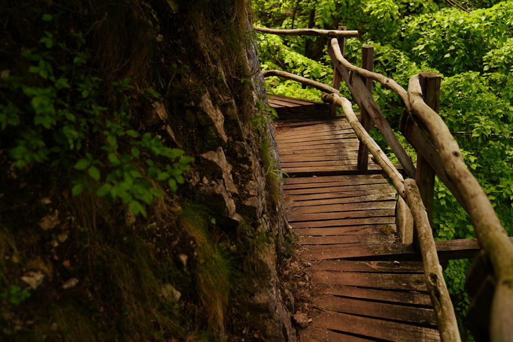 brown wooden bridge in the middle of the forest