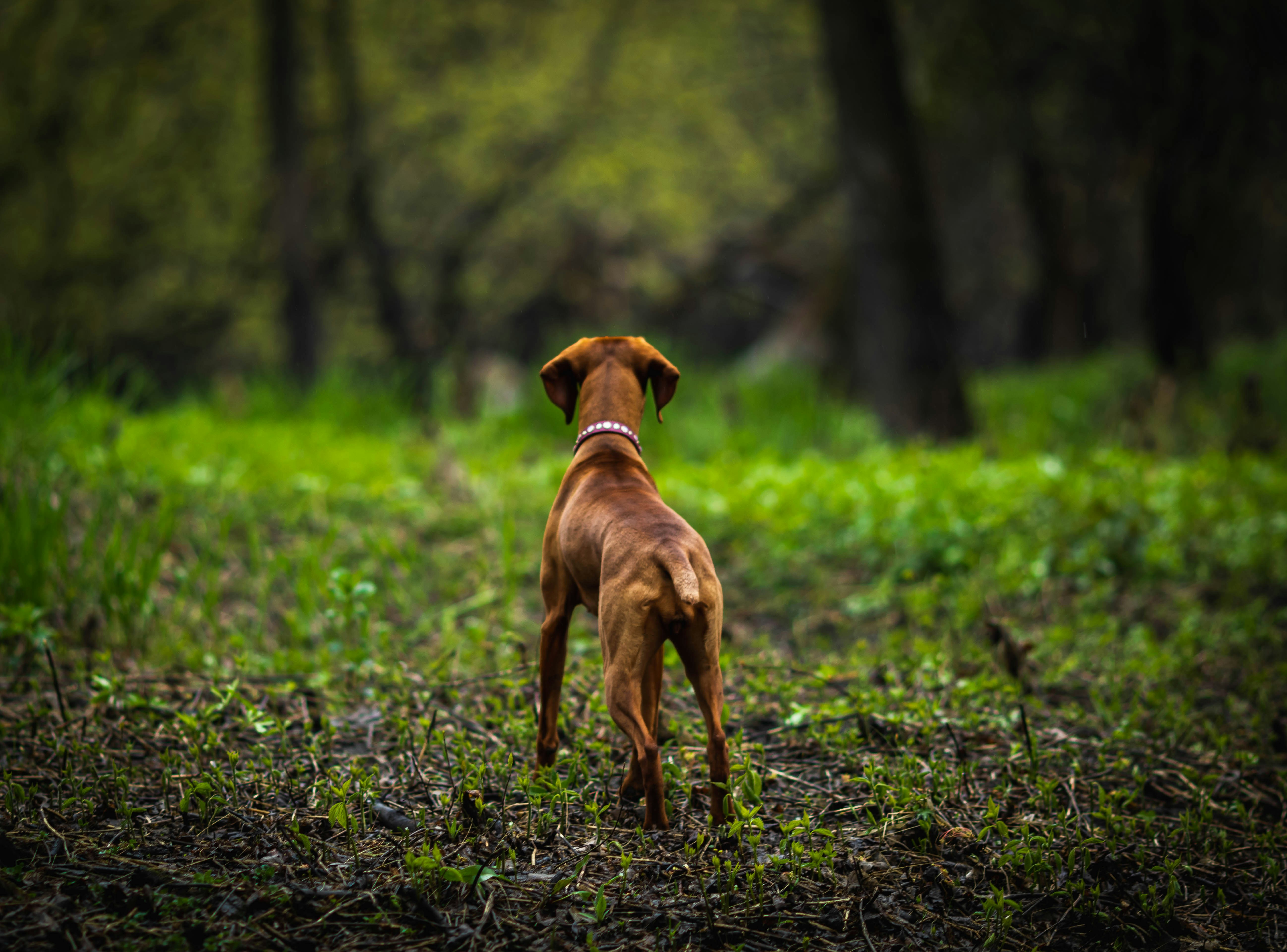 Photo by cole_wyland_24