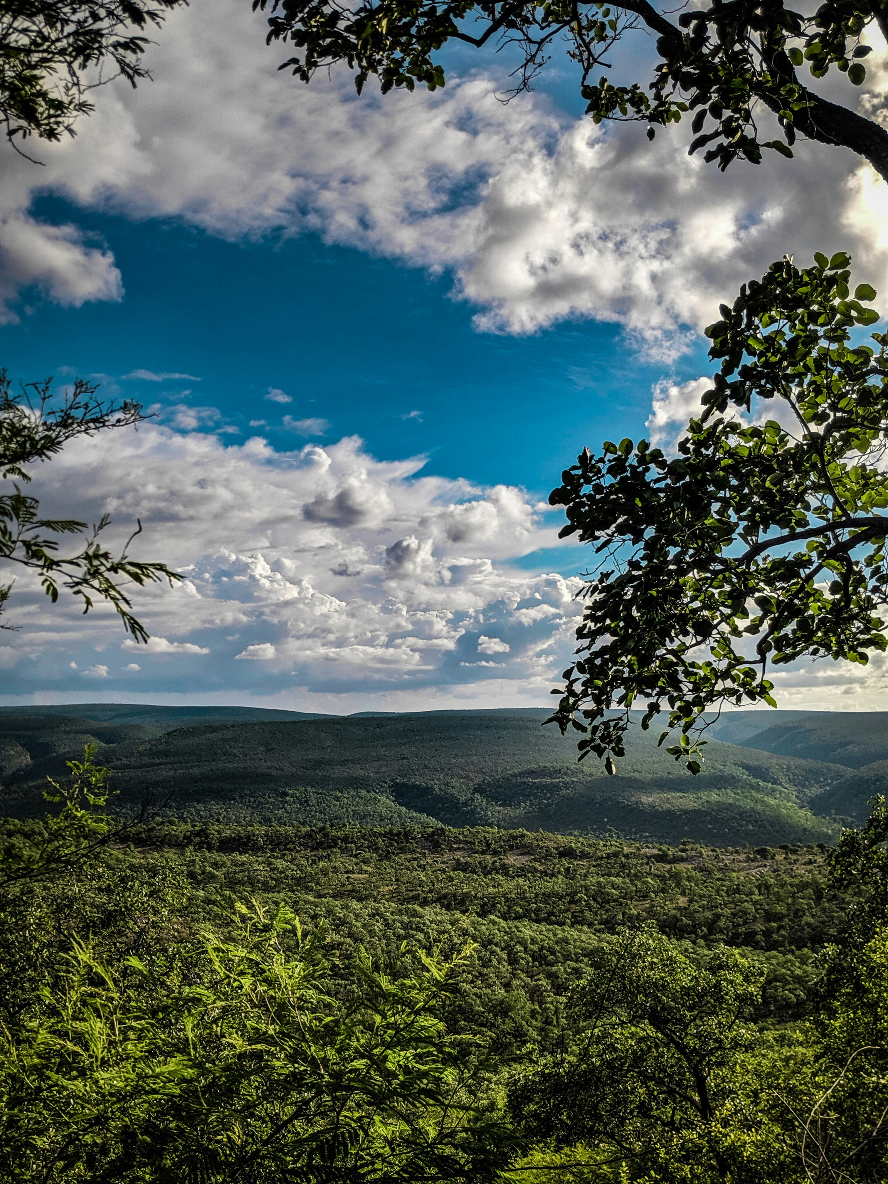 Photo by rehanshaik_17