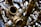 A detailed and close-up view of interconnected brass pipes with a large open valve facing towards the viewer. The shiny metallic surfaces reflect light, creating a complex network of lines and curves. The background is slightly out of focus, adding depth to the intricate pattern of pipes.
