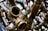 A detailed and close-up view of interconnected brass pipes with a large open valve facing towards the viewer. The shiny metallic surfaces reflect light, creating a complex network of lines and curves. The background is slightly out of focus, adding depth to the intricate pattern of pipes.