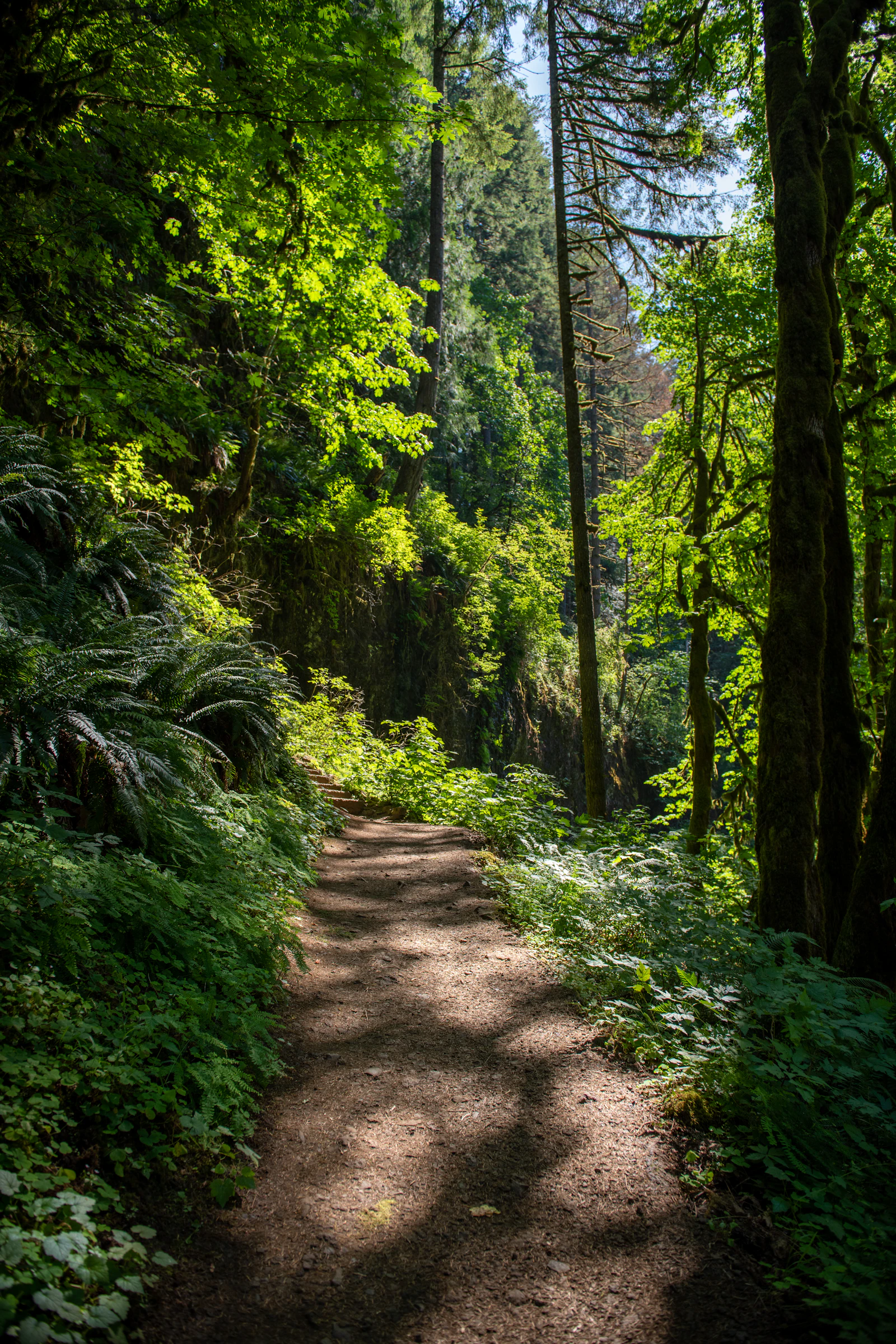 Leave No Trace: The 7 Principles for Eco Travelers