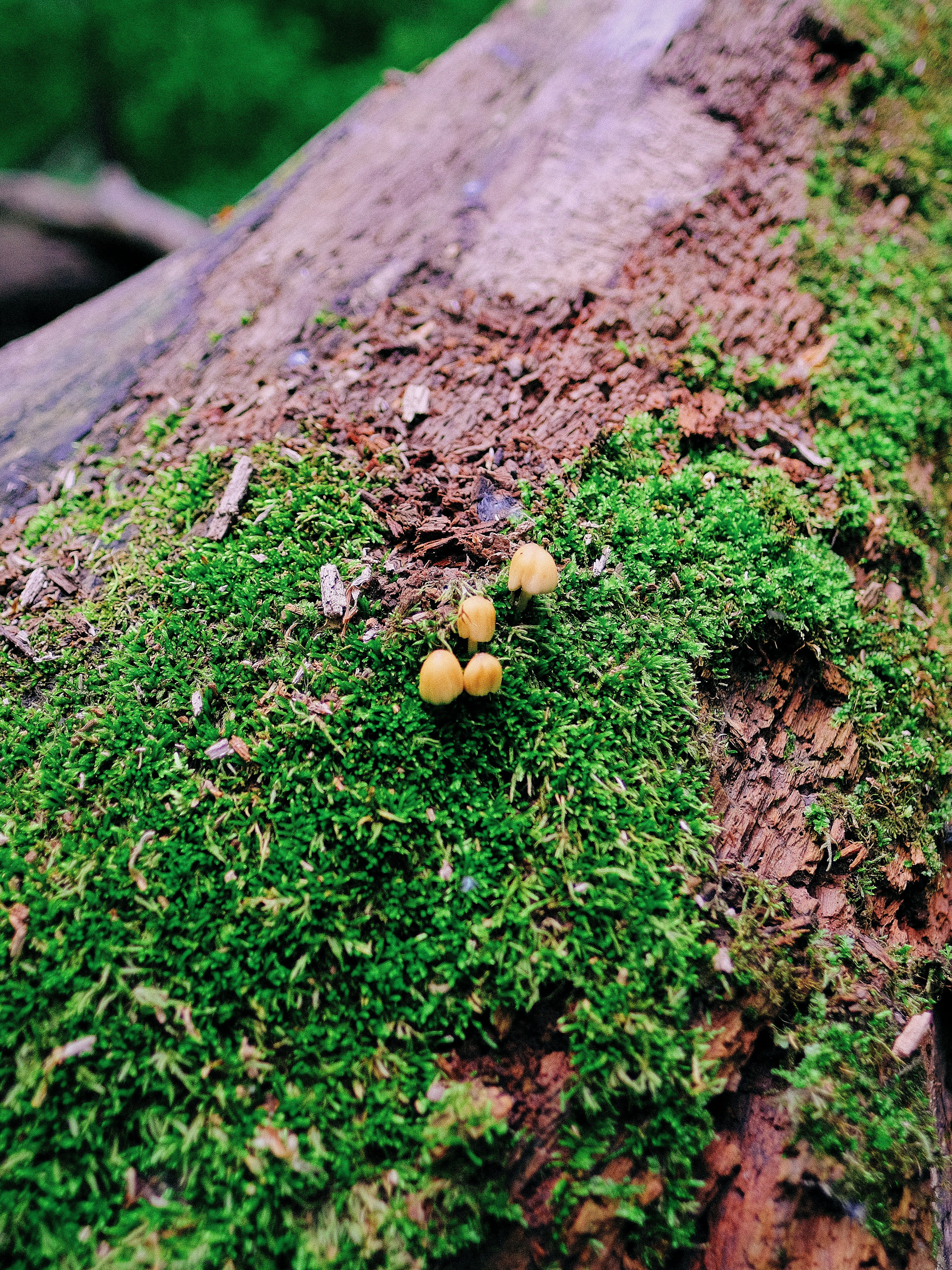 Photo by ianjbattaglia