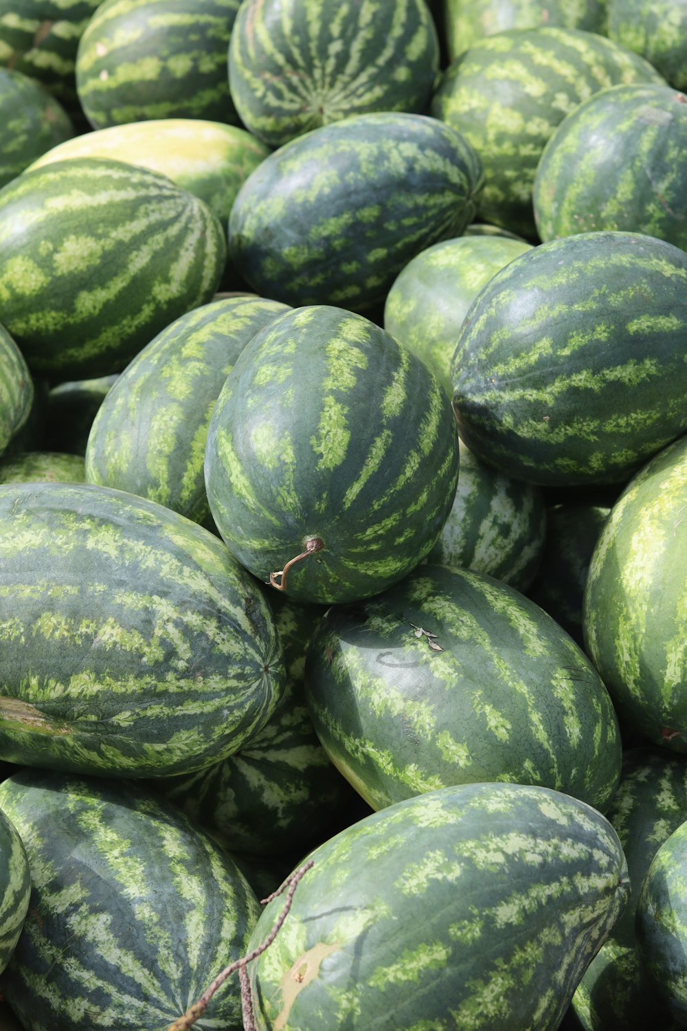 Fruta de sandía verde y amarilla