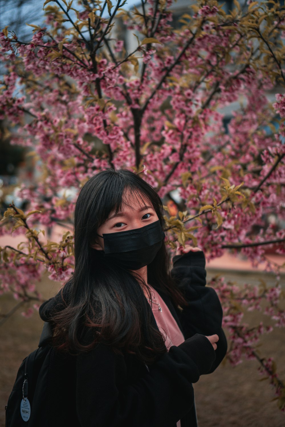 woman in black jacket standing near pink cherry blossom tree during daytime