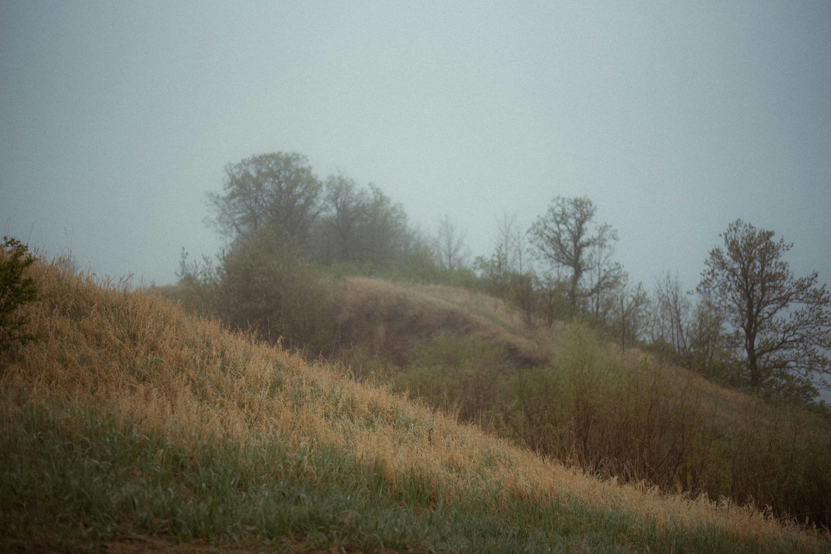 Photo by emilypenner19