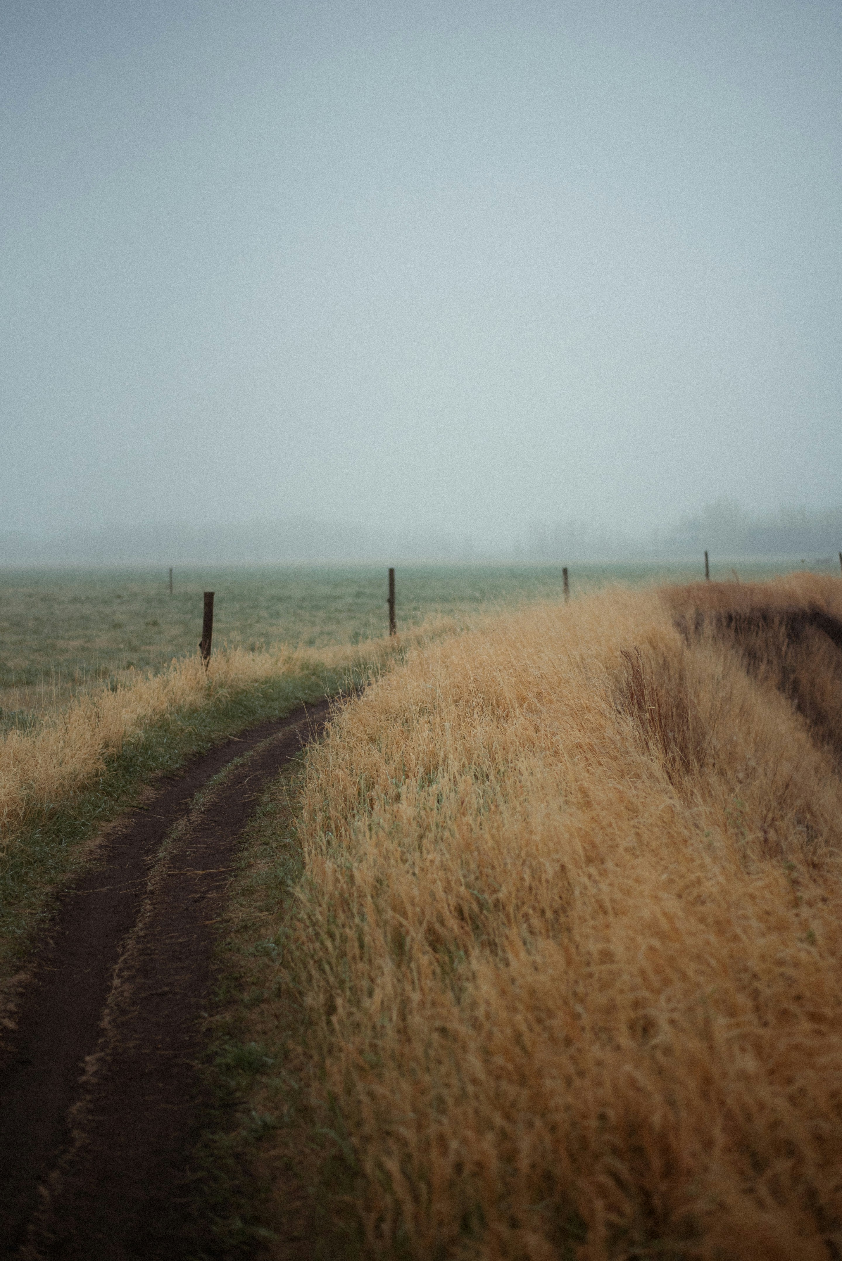 Photo by emilypenner19