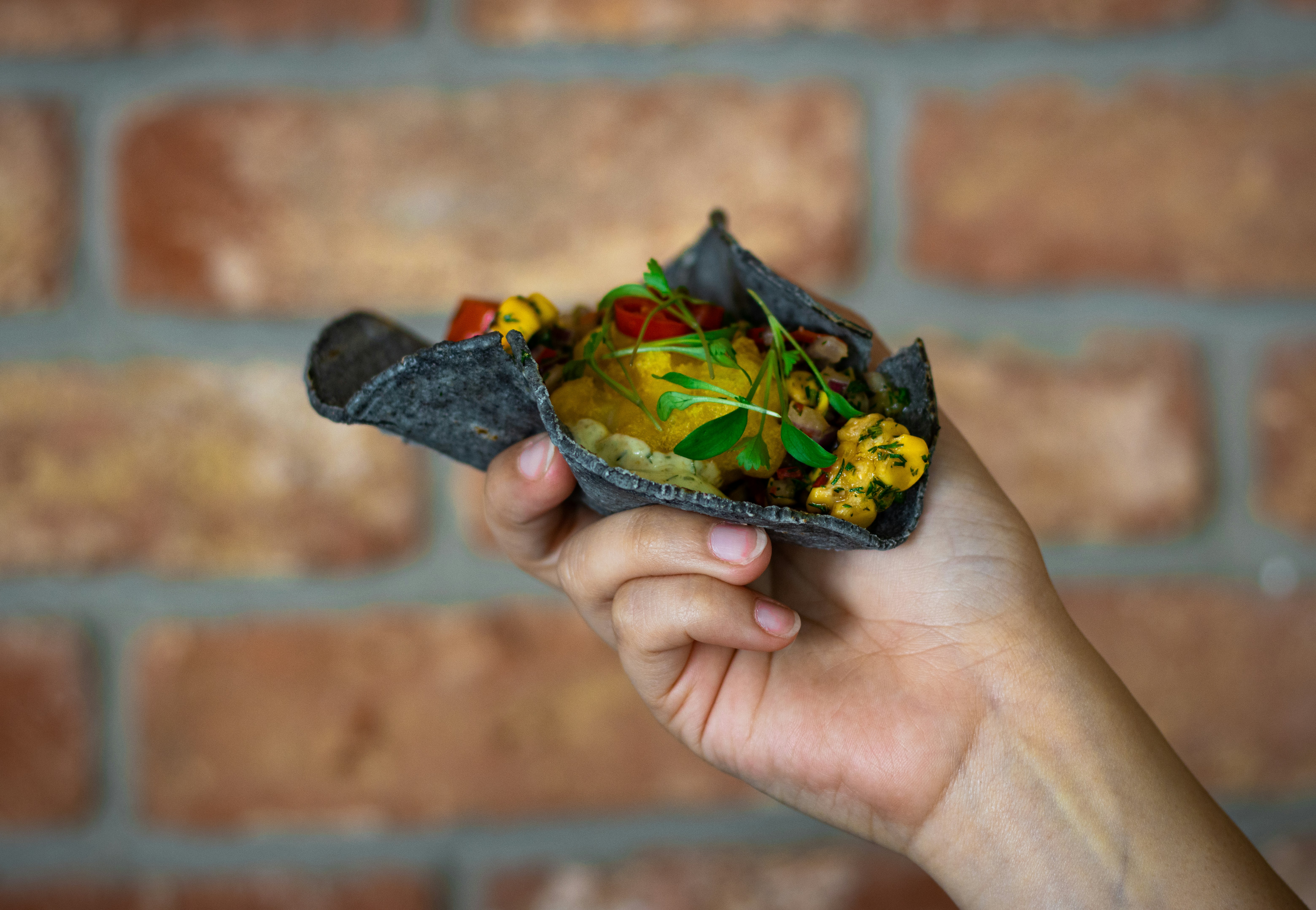 The Painted Turtle Menu