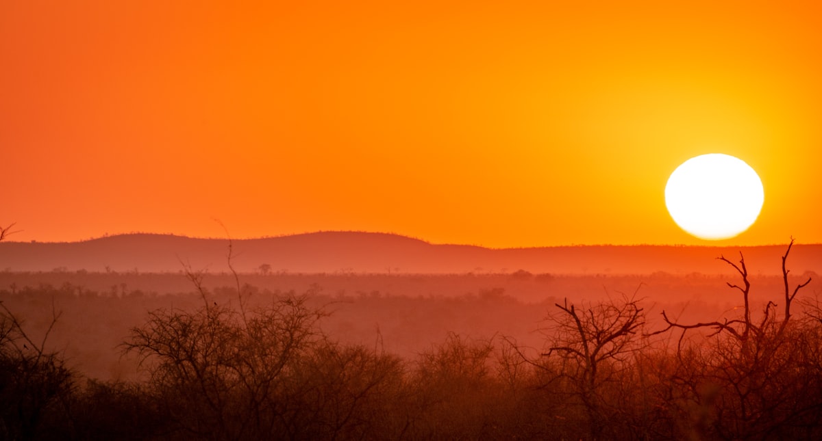 August Kruger dry bushveld with elephants at near-empty waterhole