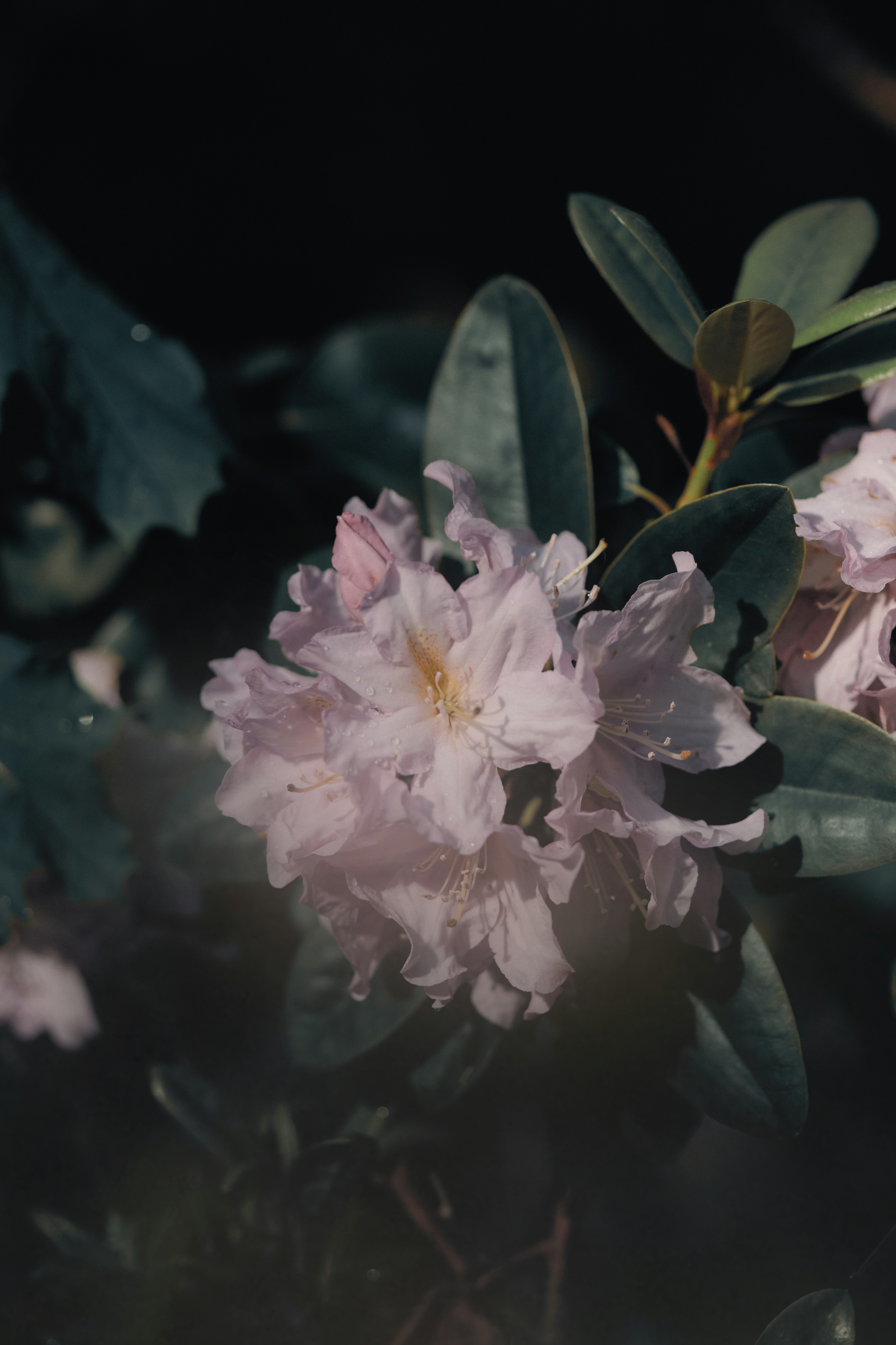 Photo by kevinmueller