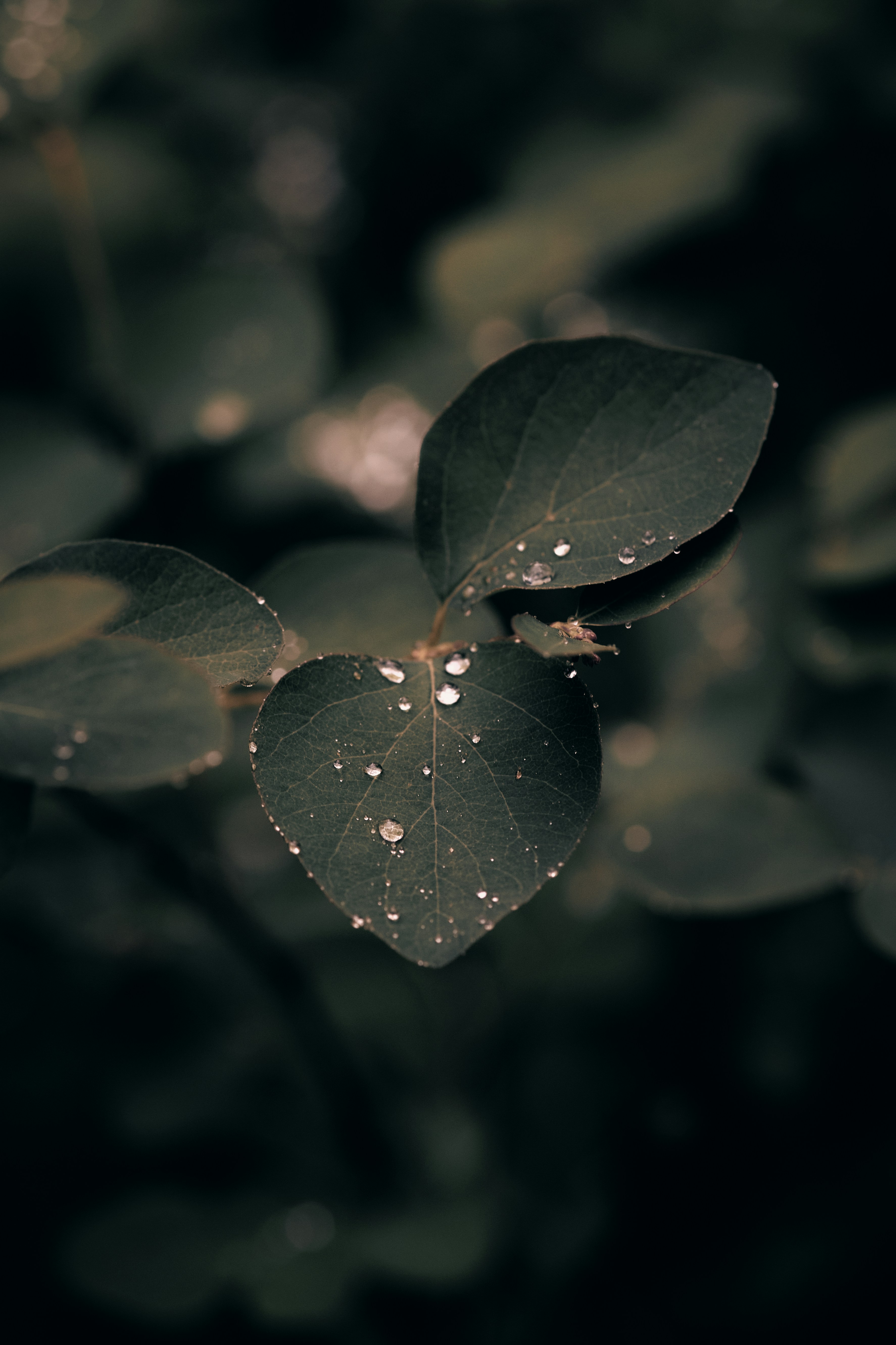 Photo by kevinmueller