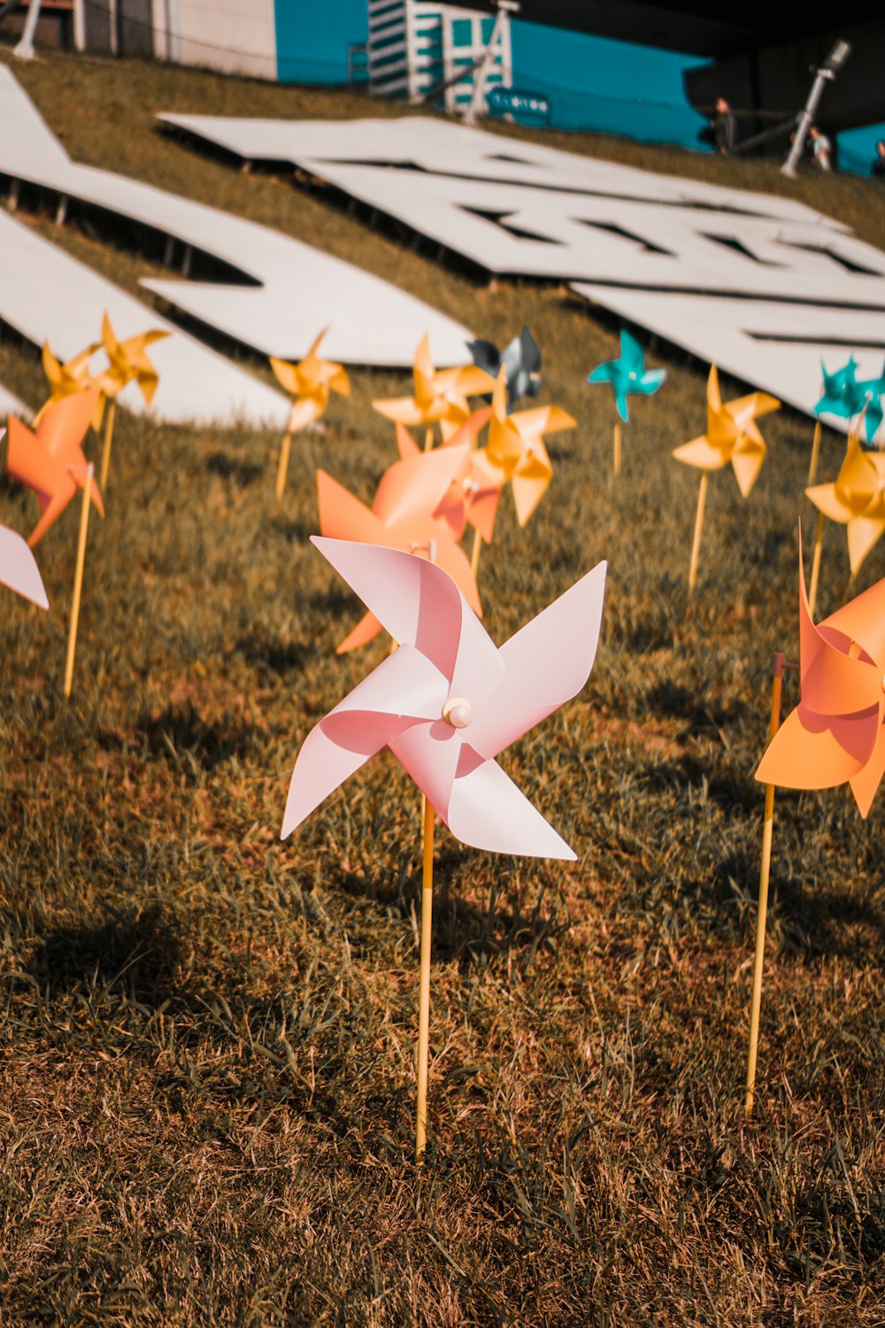 a bunch of pinwheels that are in the grass