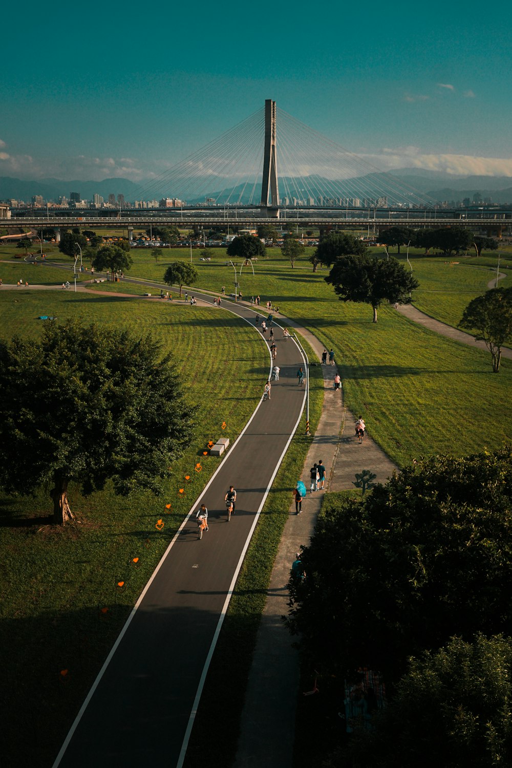 cars on road during daytime