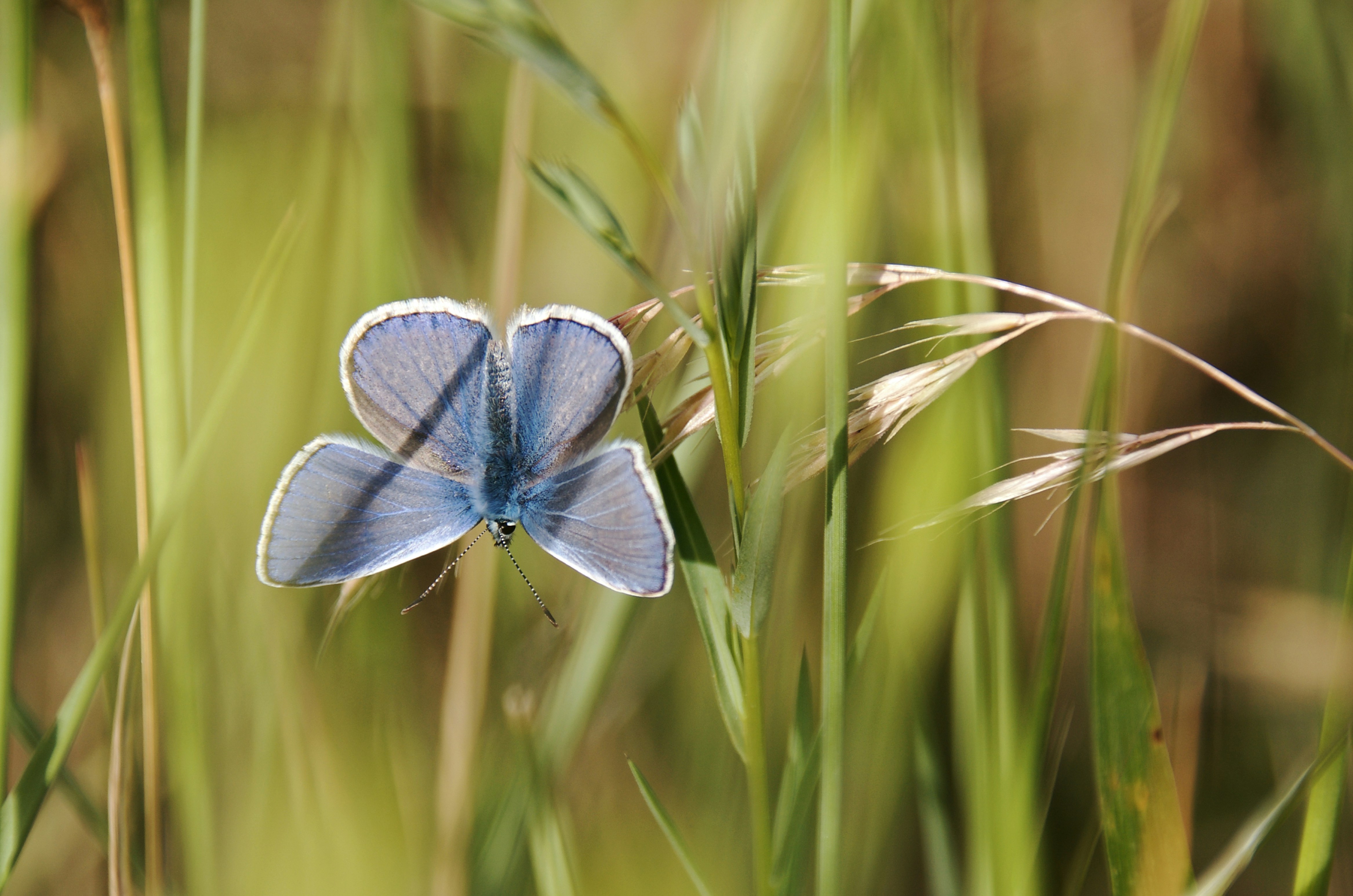 Photo by mariobeducci