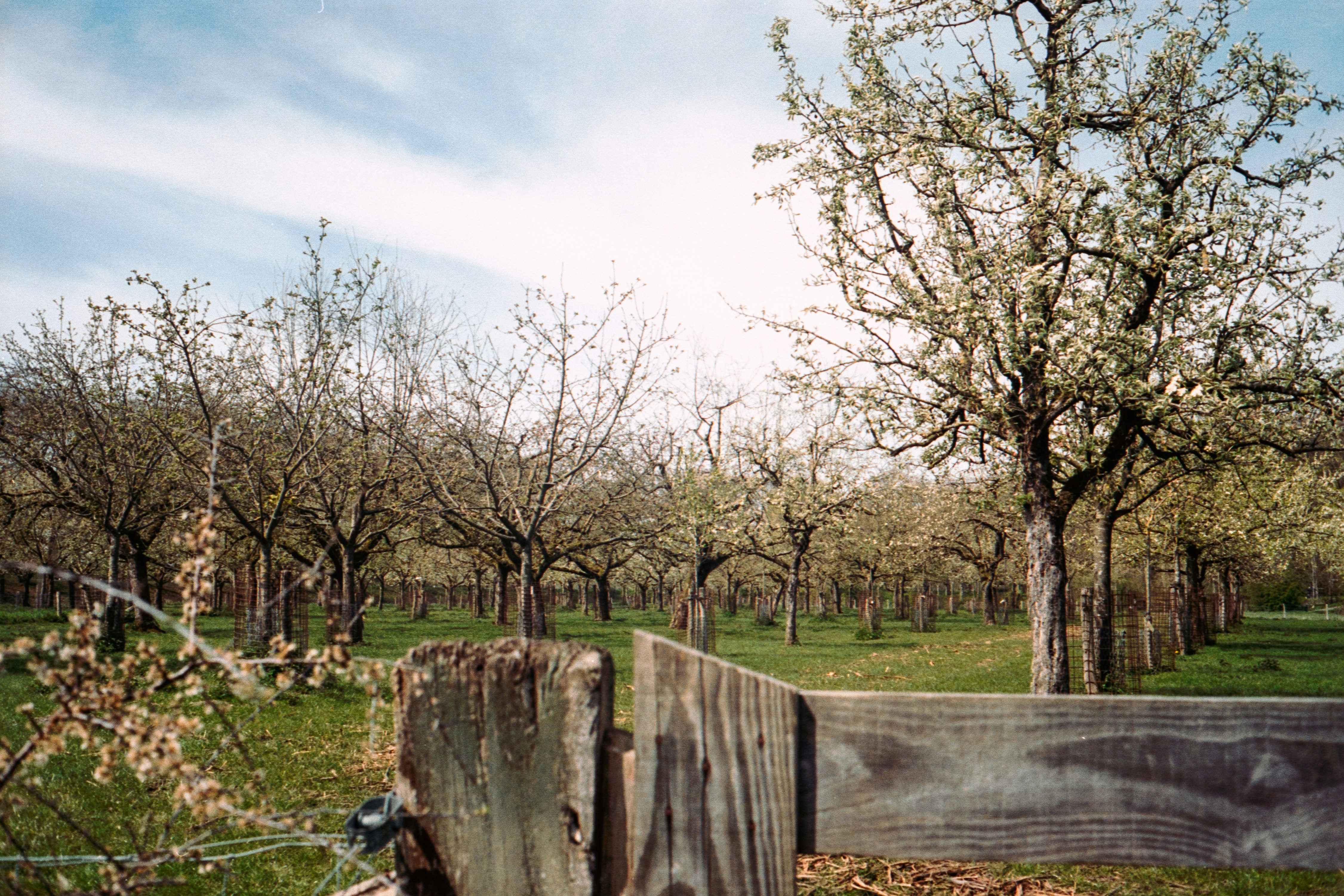 Photo by jeancarloemer