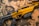 A black and gold rifle with the word 'Savage' engraved on the side rests on a camouflage fabric. Several gold bullets are arranged nearby, and protective goggles are partially visible in the upper right corner.