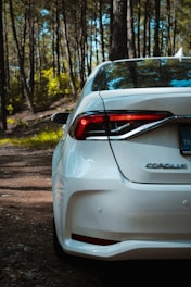 white car on forest during daytime