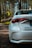 white car on forest during daytime
