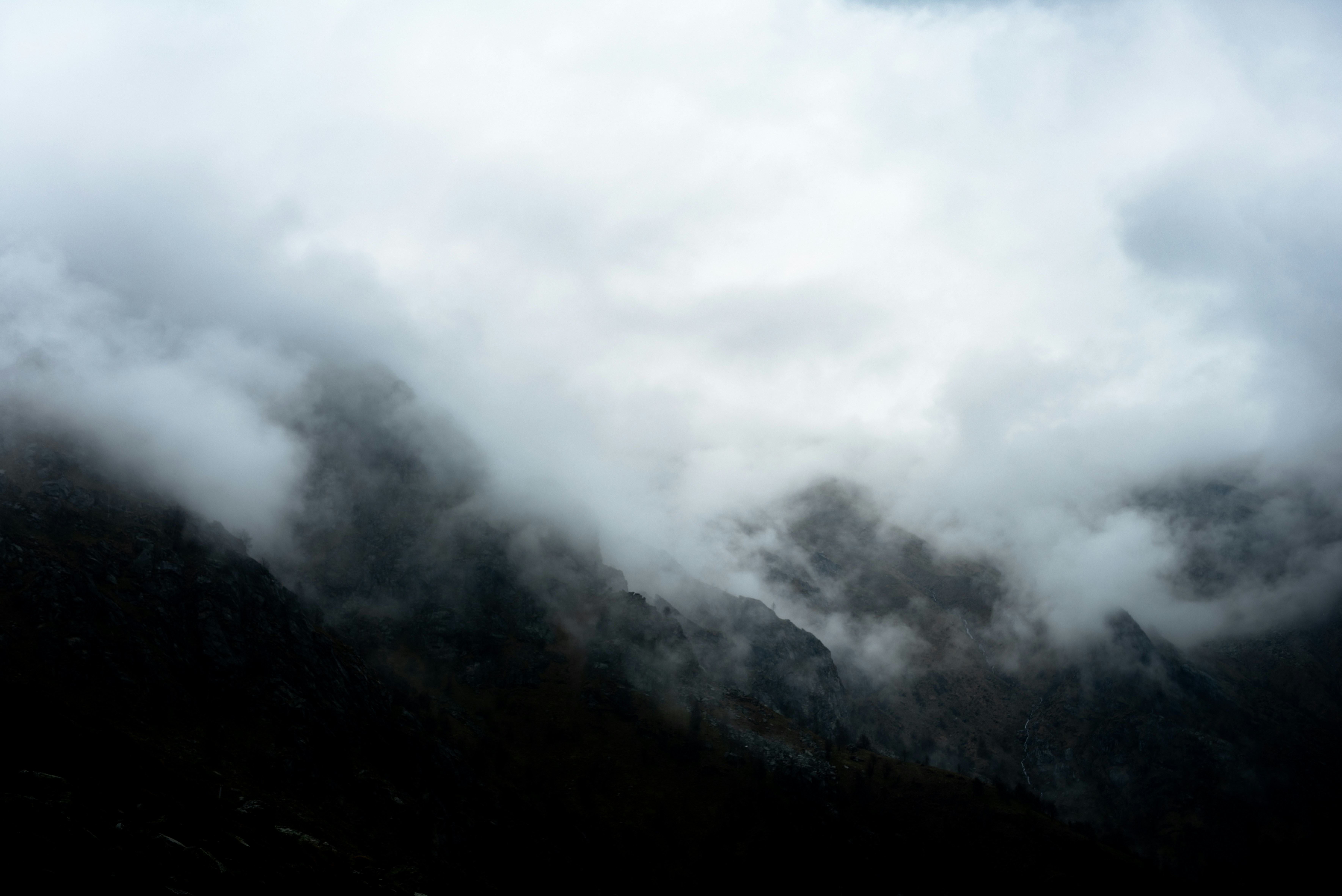 Photo by lauraadaiphoto