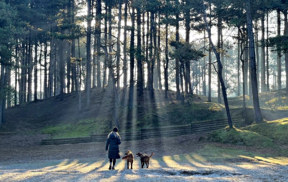 man in blue jacket walking on dirt road with dog during daytime