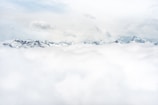 flock of birds flying under white clouds during daytime