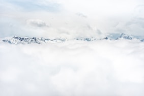 flock of birds flying under white clouds during daytime