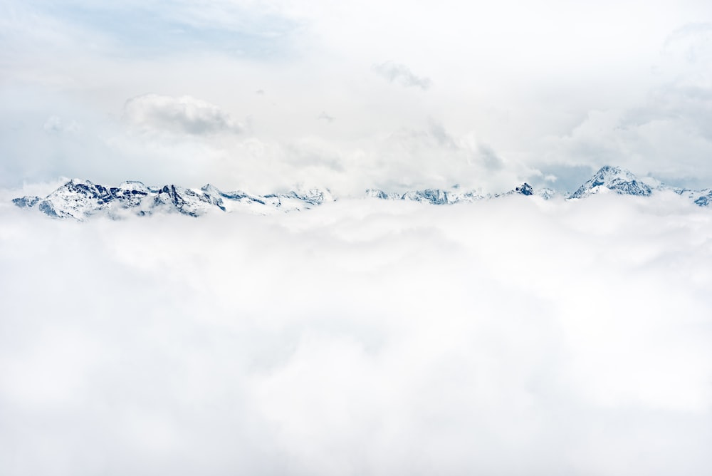 flock of birds flying under white clouds during daytime