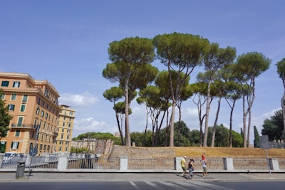 people walking on sidewalk near trees and building during daytime