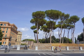 people walking on sidewalk near trees and building during daytime