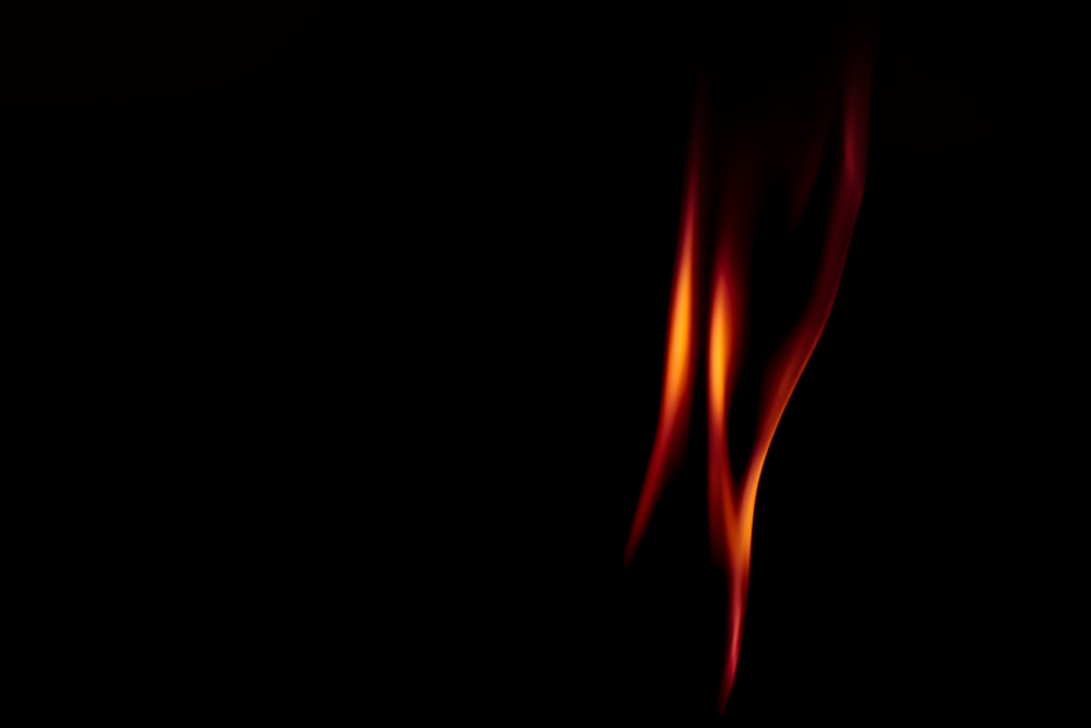 red and orange flame illustration