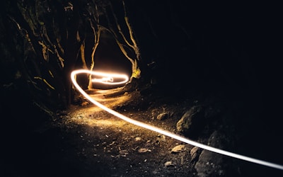 Illuminated nighttime rainforest path with glowing eyes peering through the dark.
