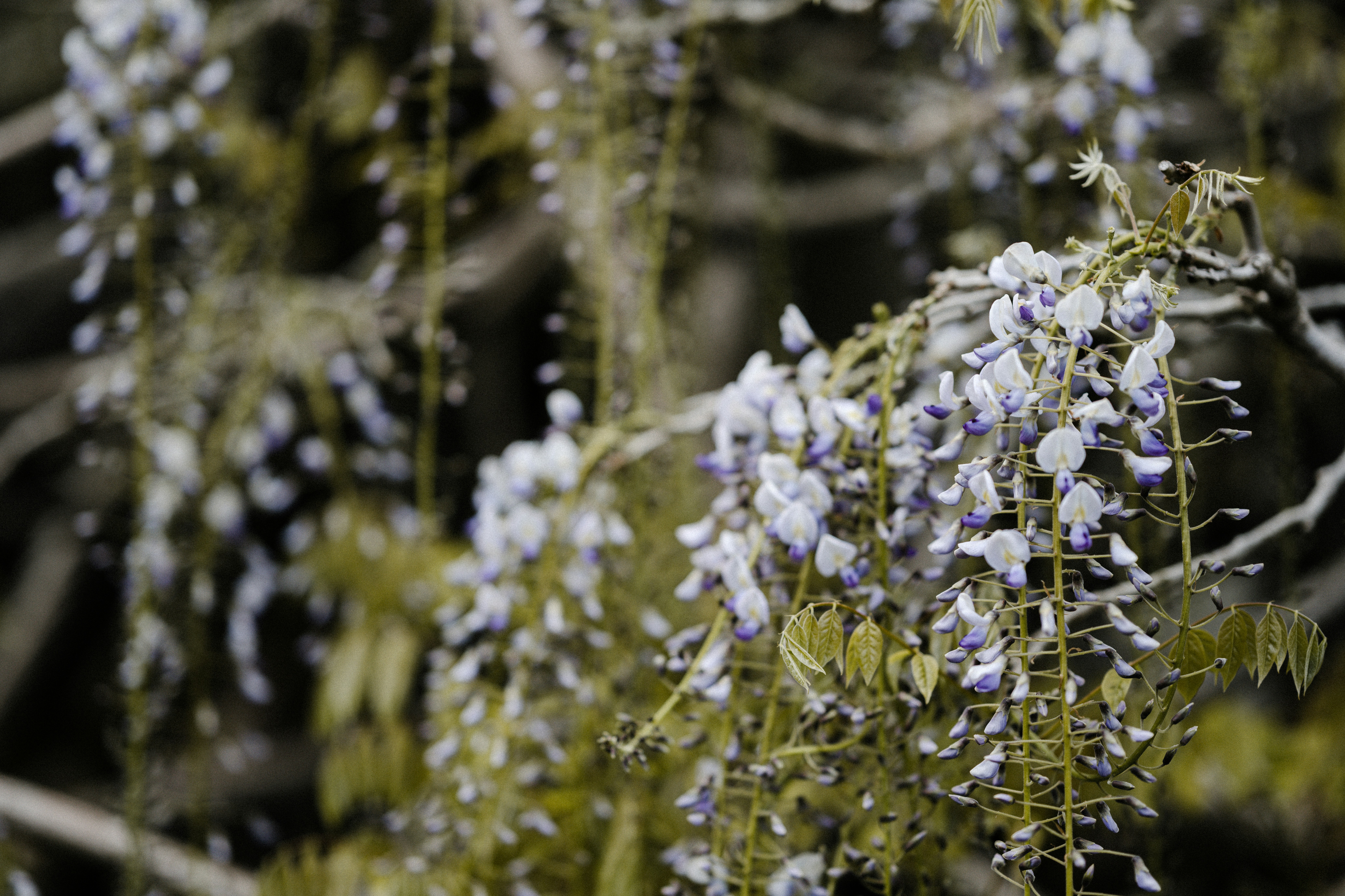 Photo by anniespratt