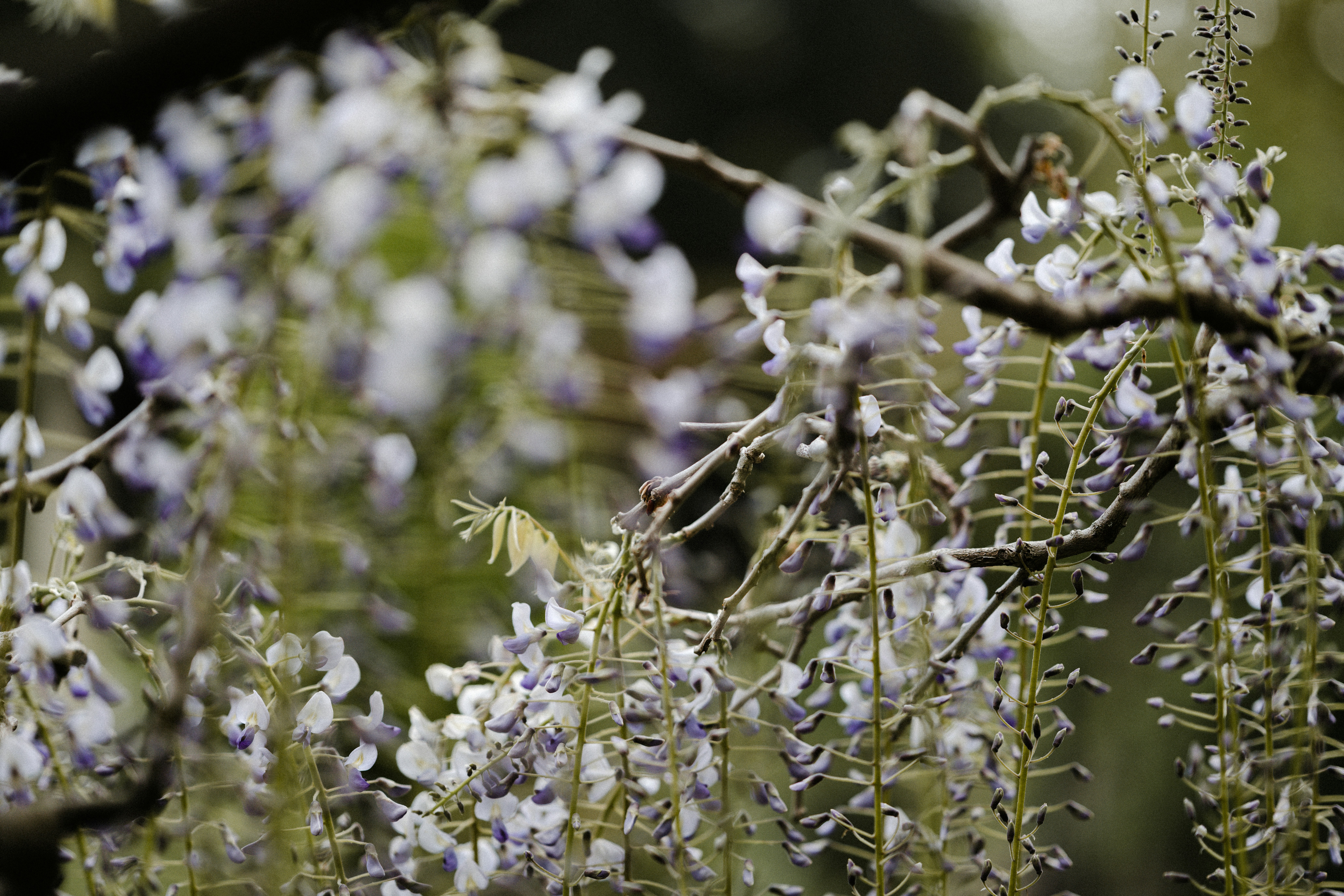 Photo by anniespratt