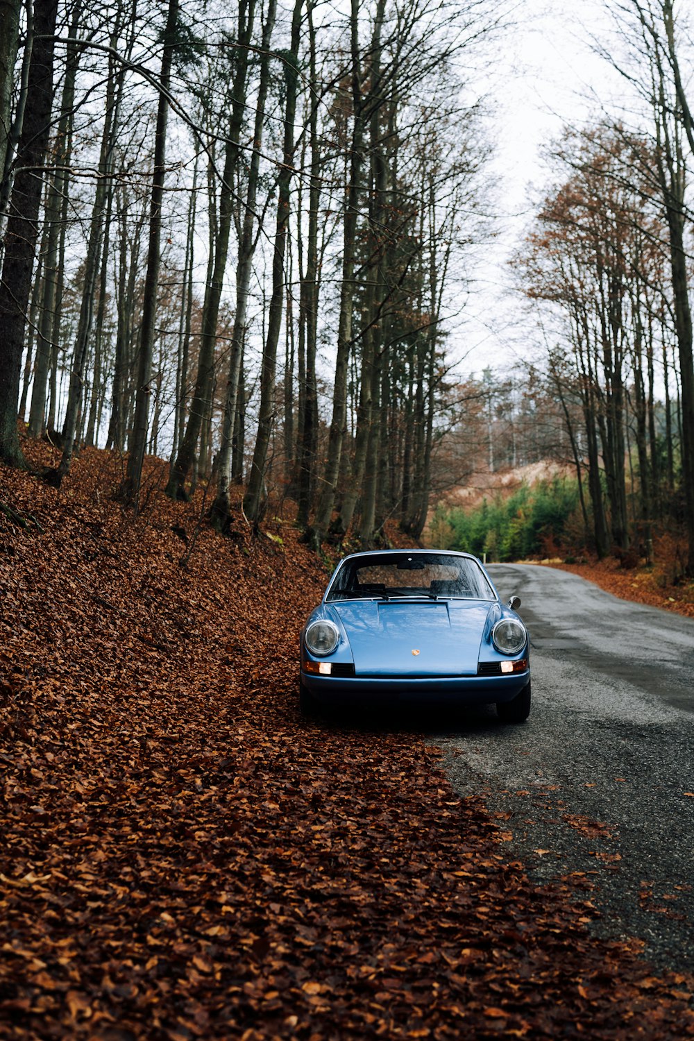 blue volkswagen beetle on dirt road in between bare trees during daytime