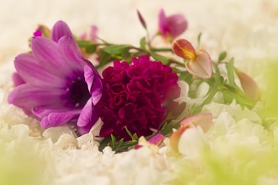 A vibrant flower arrangement representing inner peace and beauty.