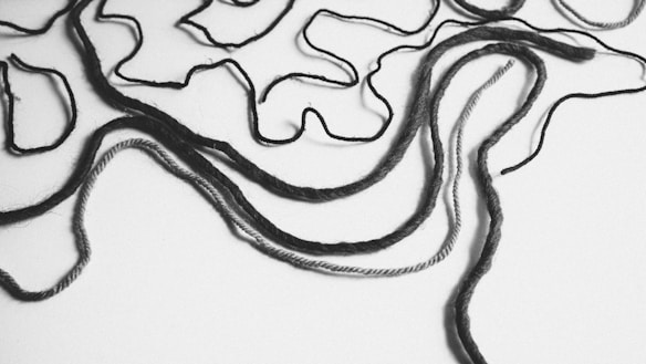 Several strands of yarn loop and intertwine in an abstract pattern against a plain background. The yarn varies in thickness and appears to be randomly arranged, creating a sense of movement and fluidity.