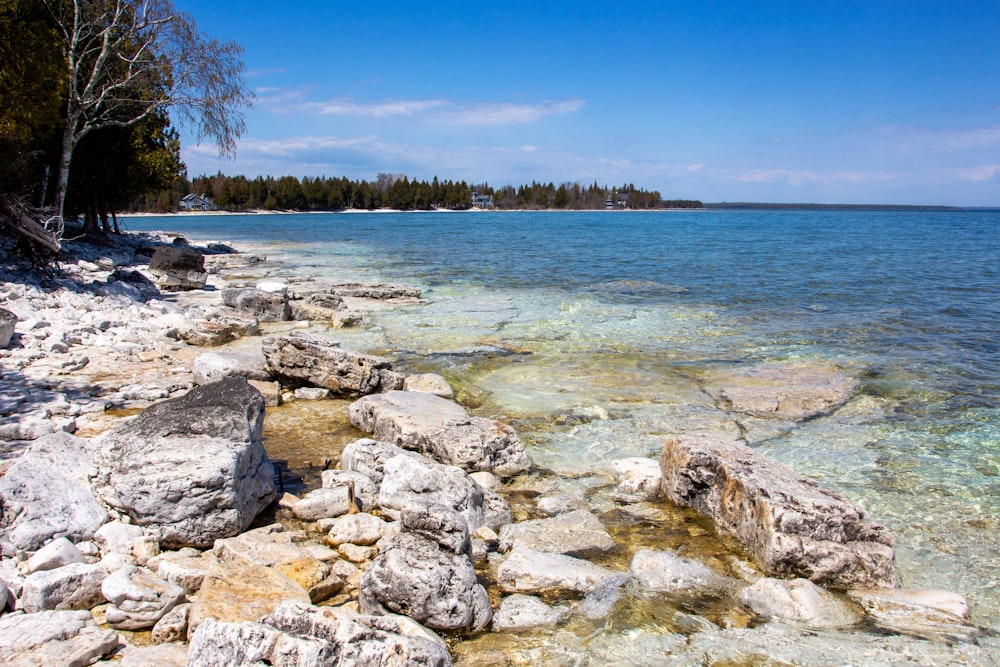 gray rocks near body of water during daytime