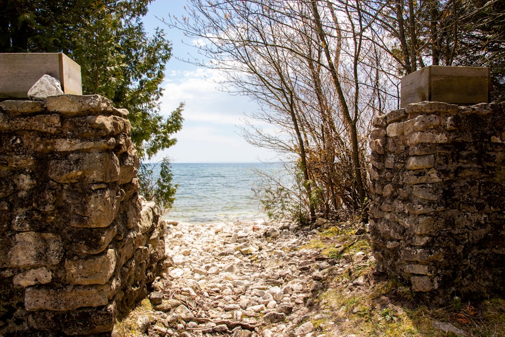 brown concrete wall near body of water during daytime