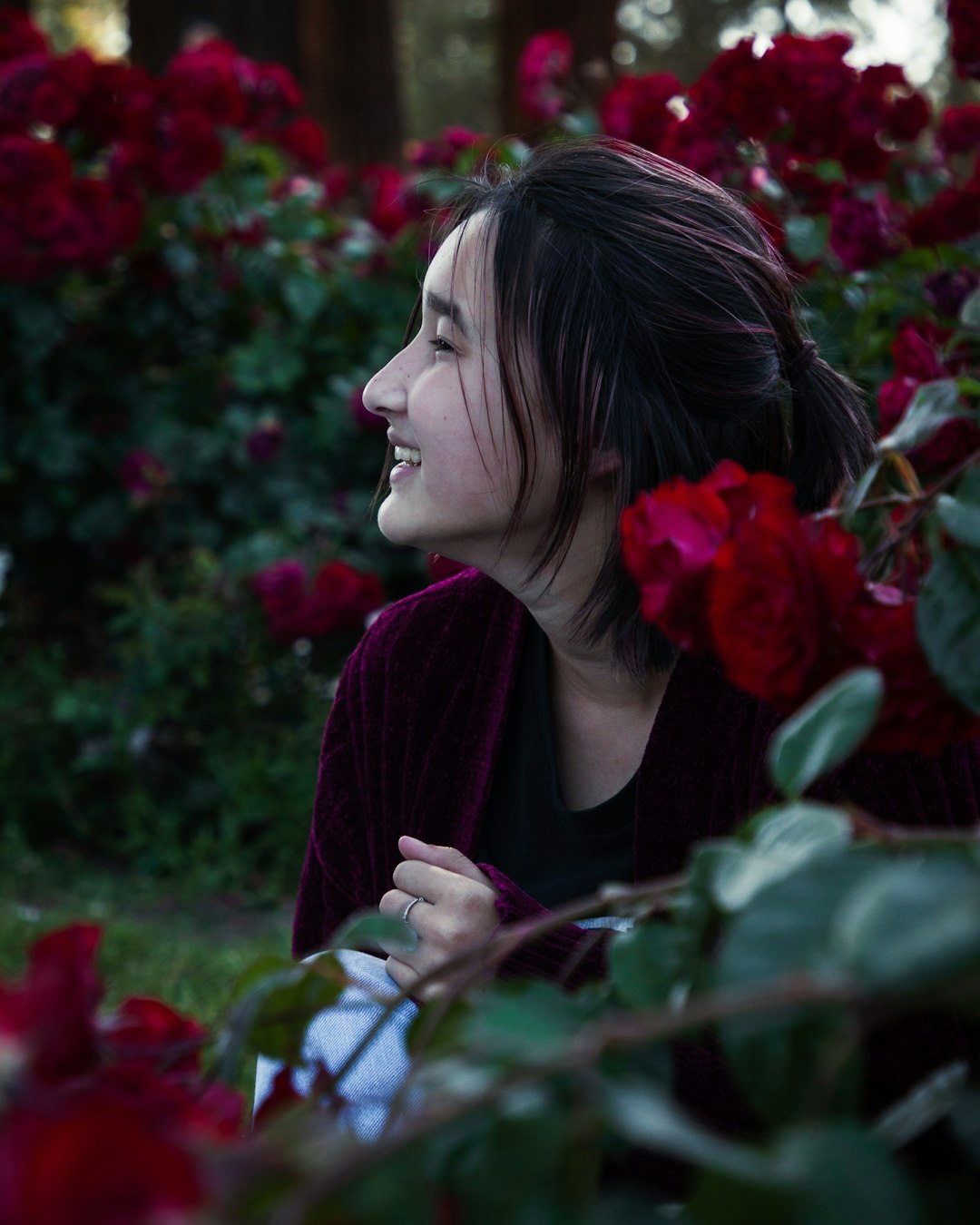 woman in purple cardigan holding red rose