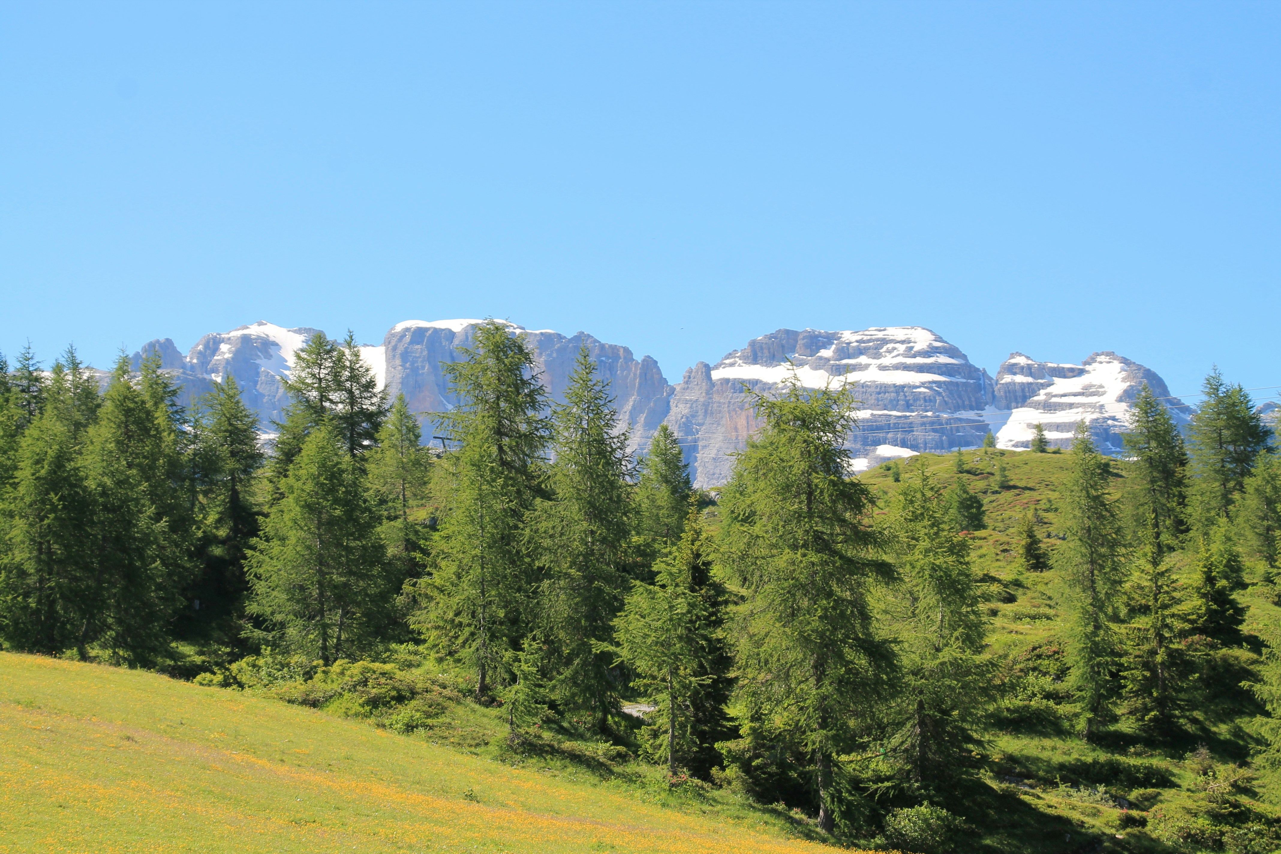 green trees on green grass field near mountain under blue sky during daytime