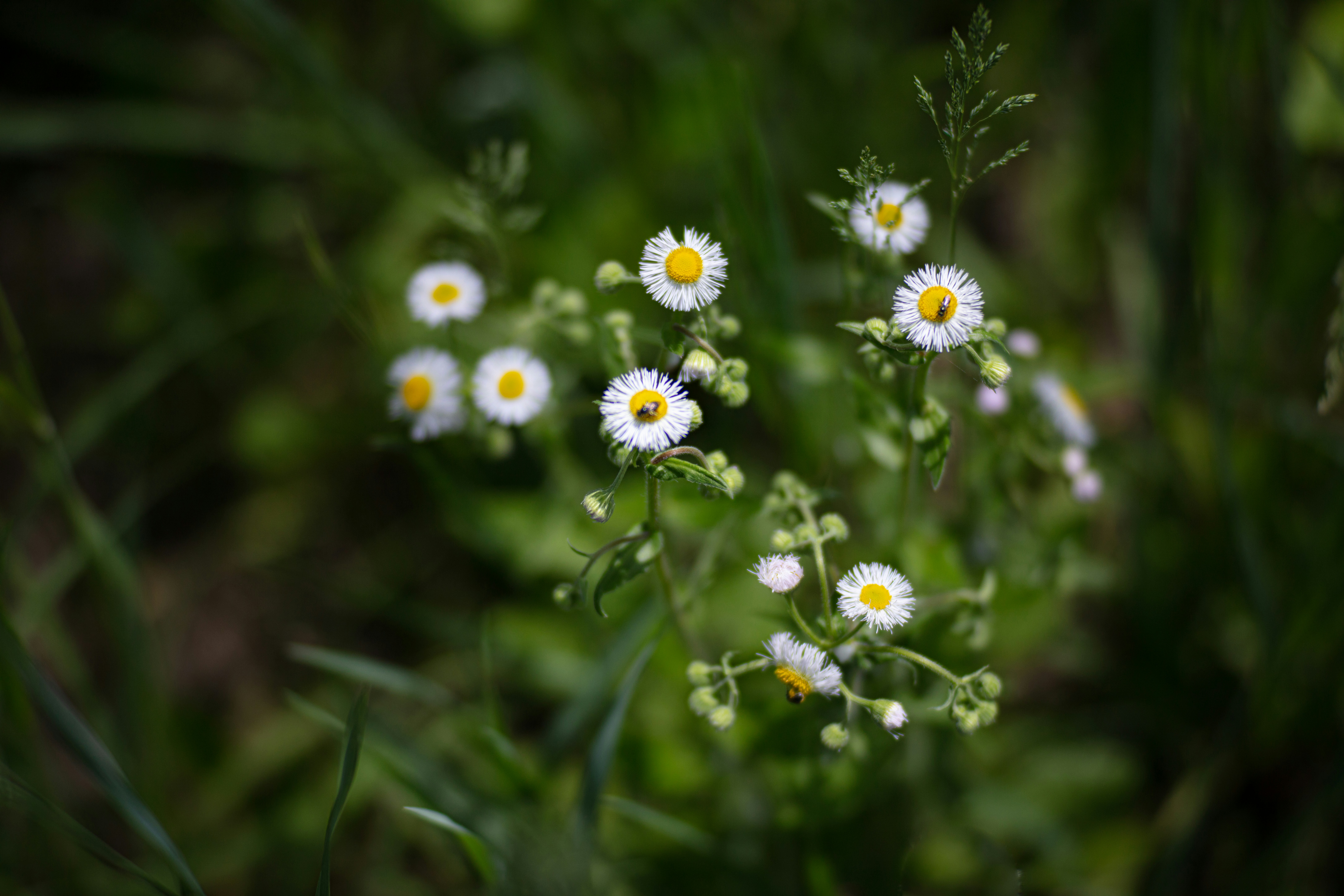 Photo by nickolasnikolic