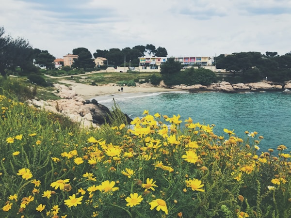 Exploring Martigues: A Charming French Riviera Gem