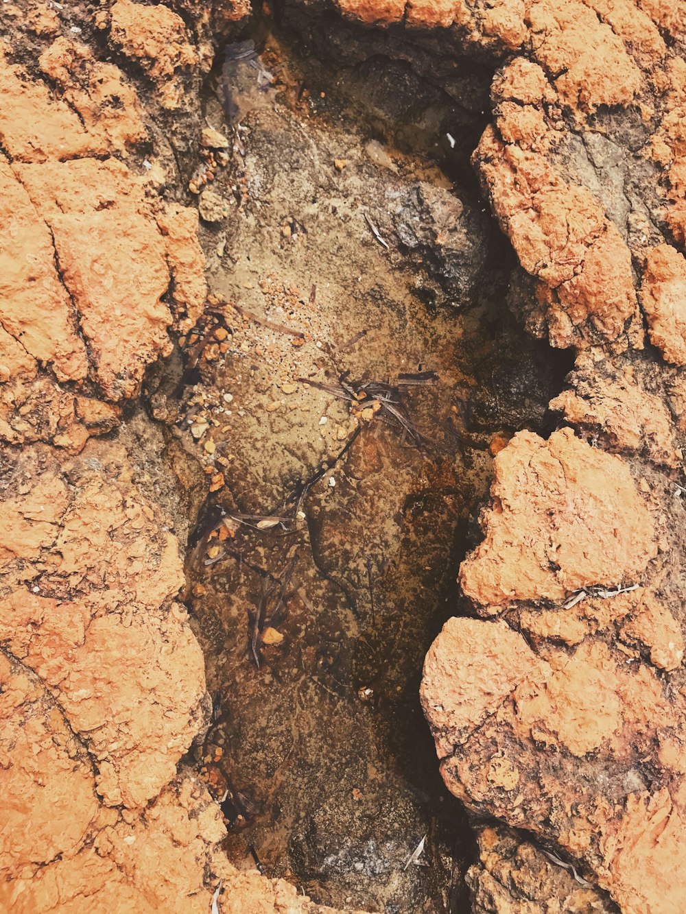 brown and black stone fragment