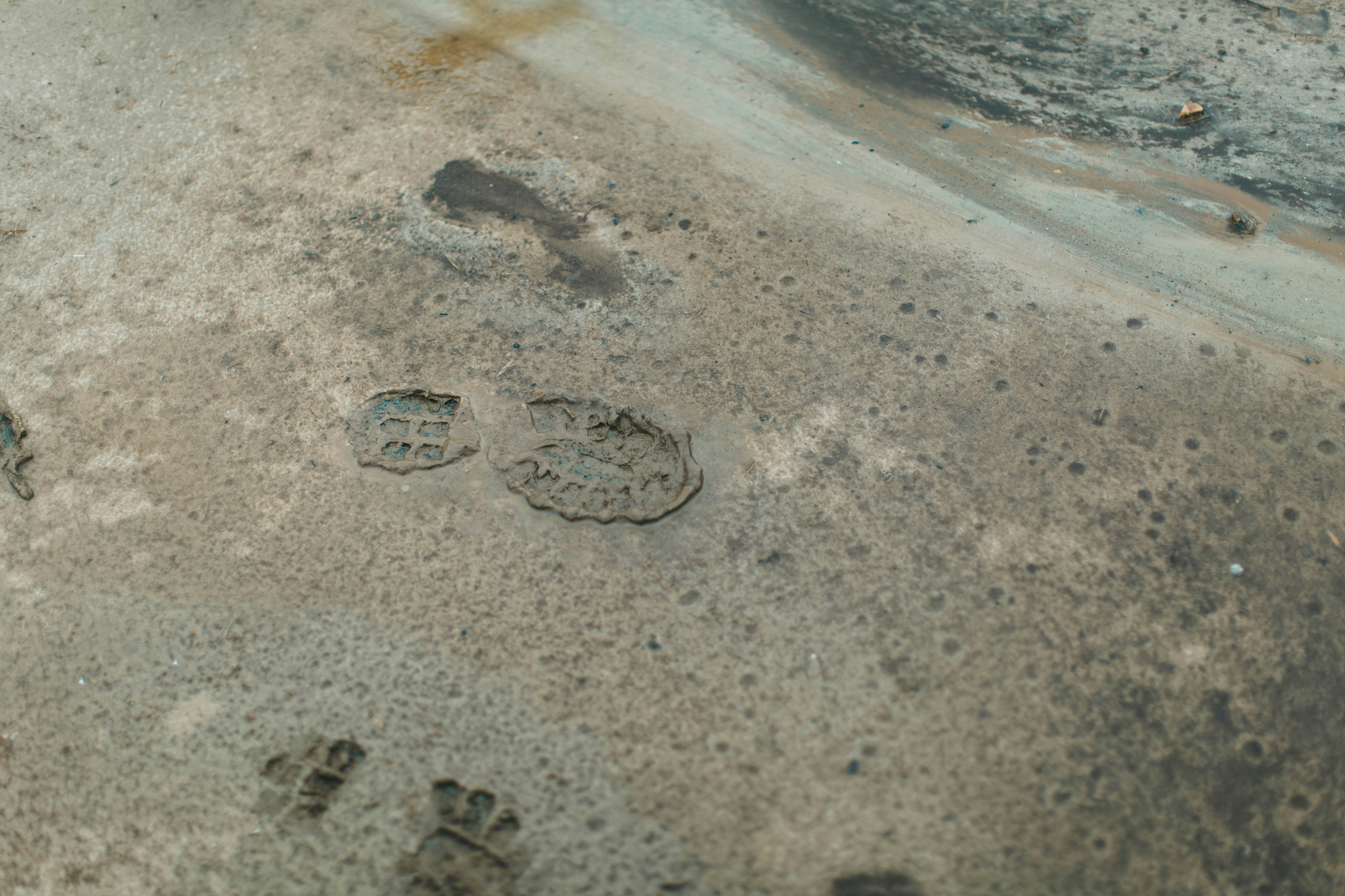 Photo by theshuttervision