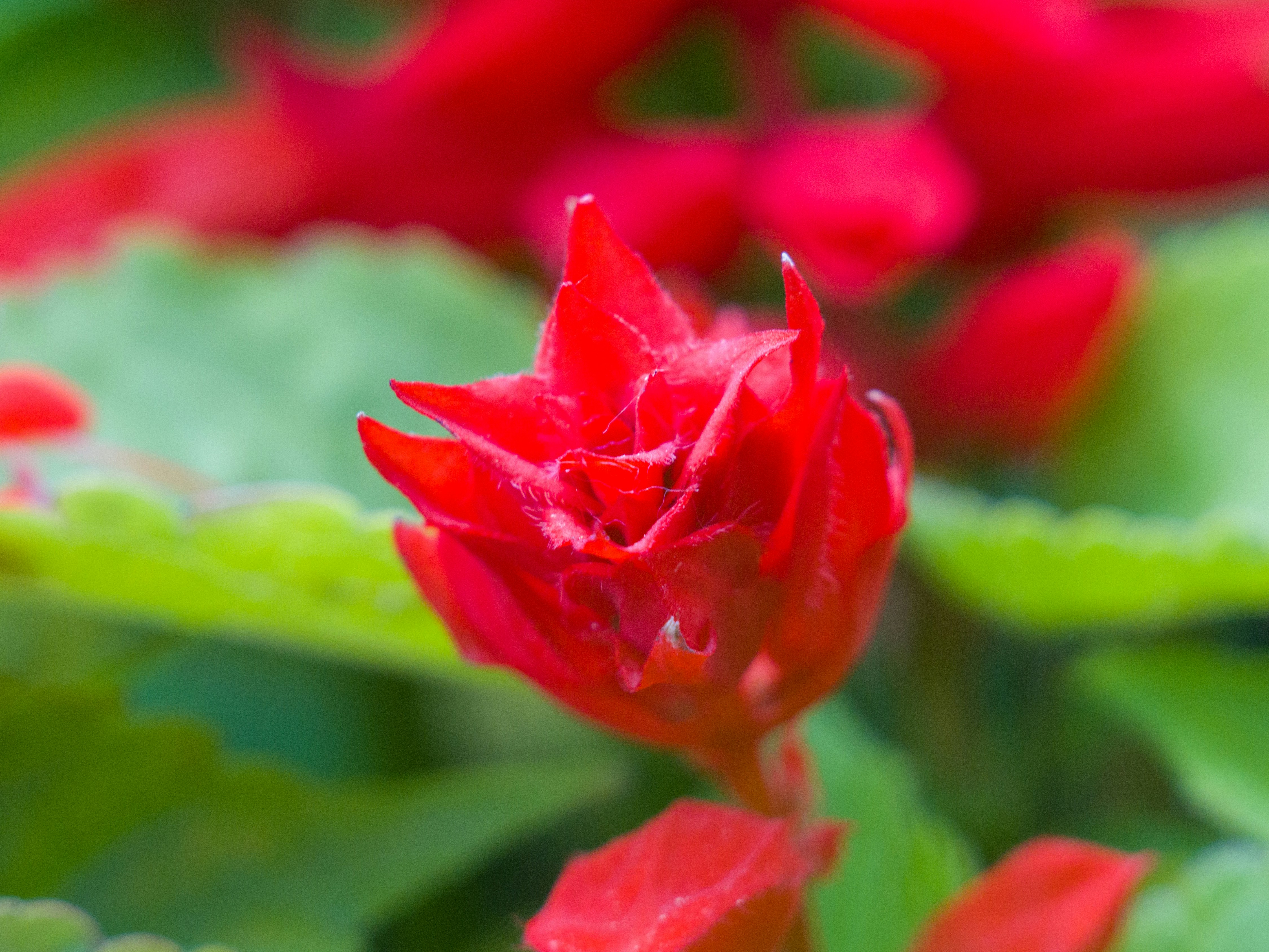 Photo by uin84917798