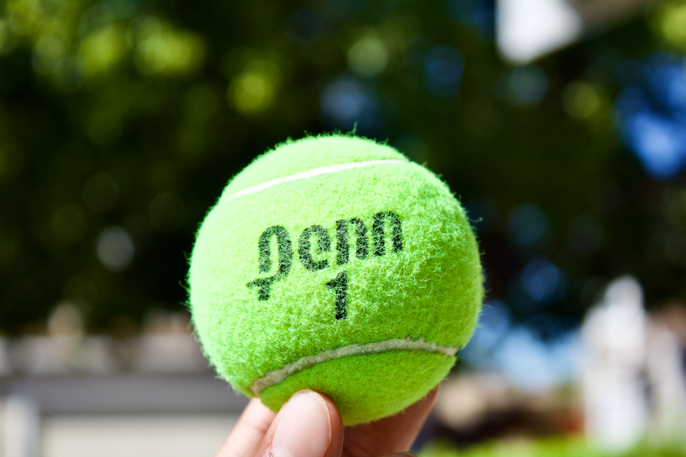 クローズアップ写真の緑のテニスボール
