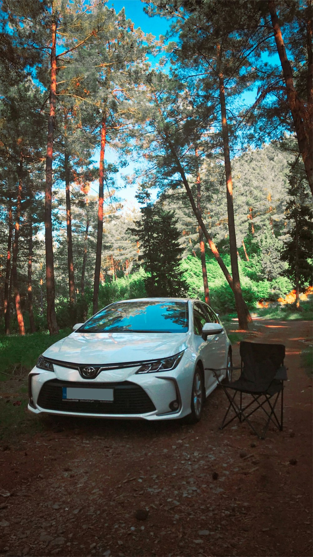 white bmw car parked near trees during daytime